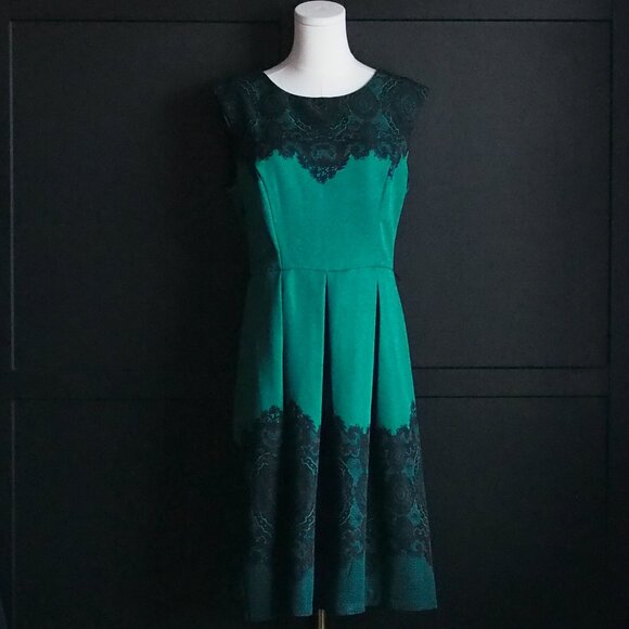 Roz & Ali | Beautiful Lace Print Sleeveless Box Pleat Dress - Picture 1 of 6